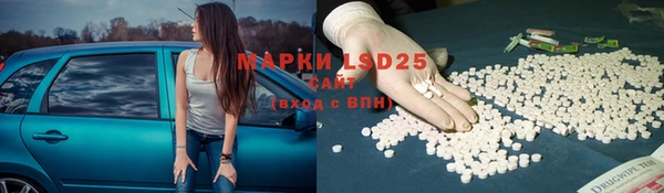 прущие грибы Алзамай