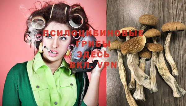 крисы Алексеевка