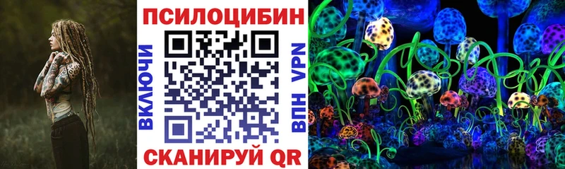 Псилоцибиновые грибы Cubensis хочу наркоту Сасово